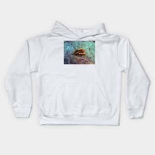 Chromodoris joshi nudibranch Kids Hoodie